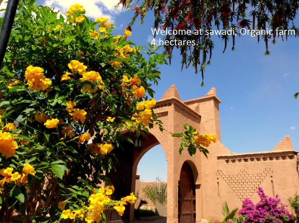 Sawadi Ecolodge Skoura Exterior foto